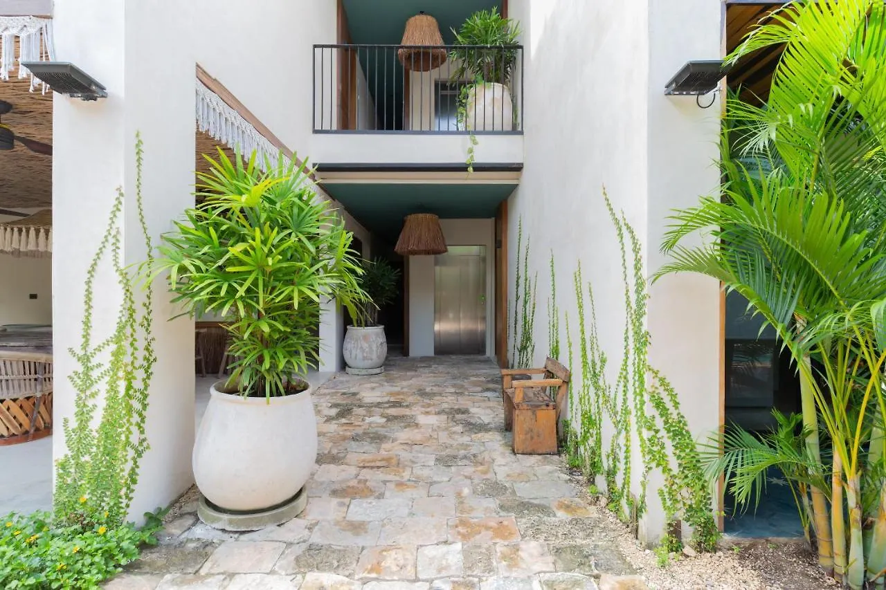 トゥルムBeautiful Aldea Zama Ph With Private Plunge Pool And Terraceアパートメント アパート